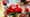 LEGO® Botanical Collection